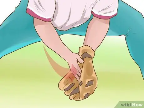 Запустить наземный мяч Шаг 10