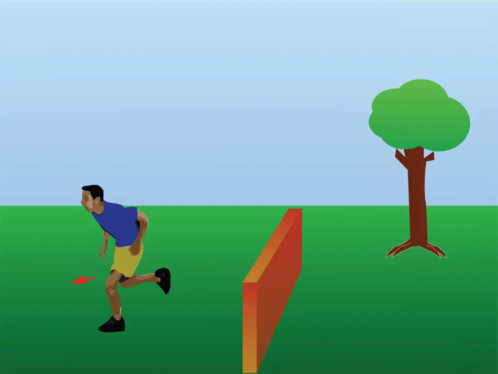 Как попасть в Убежище обезьян: 10 шагов (с иллюстрациями)