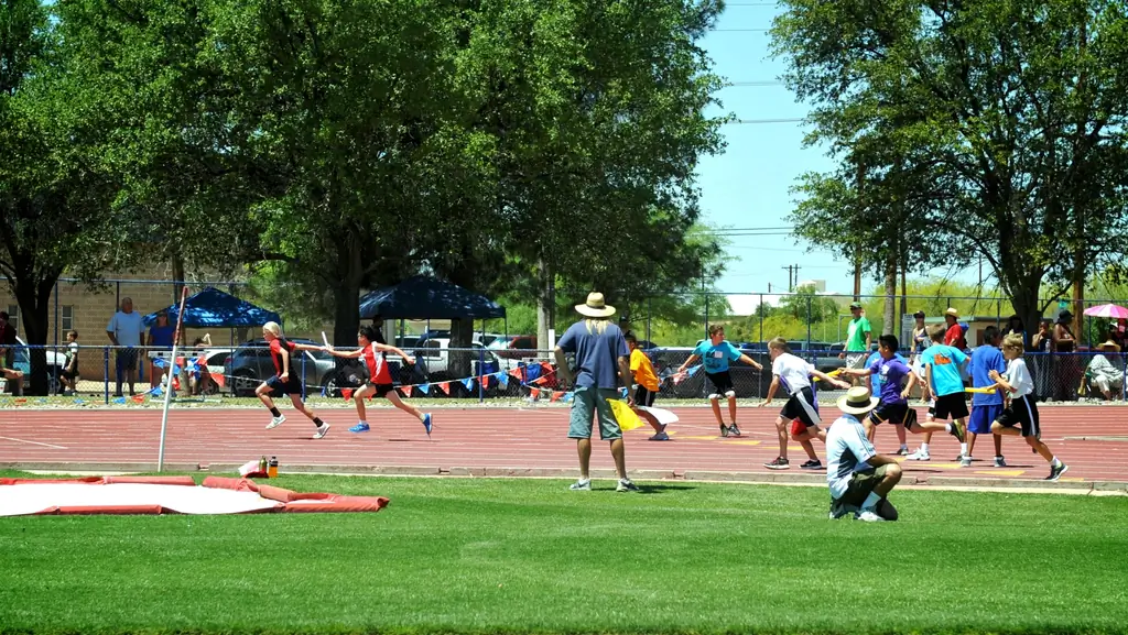 Как запустить реле в треке: 11 шагов (с изображениями)