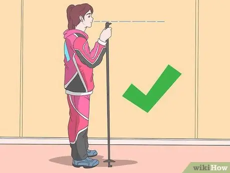 Купить беговые лыжи Step 6