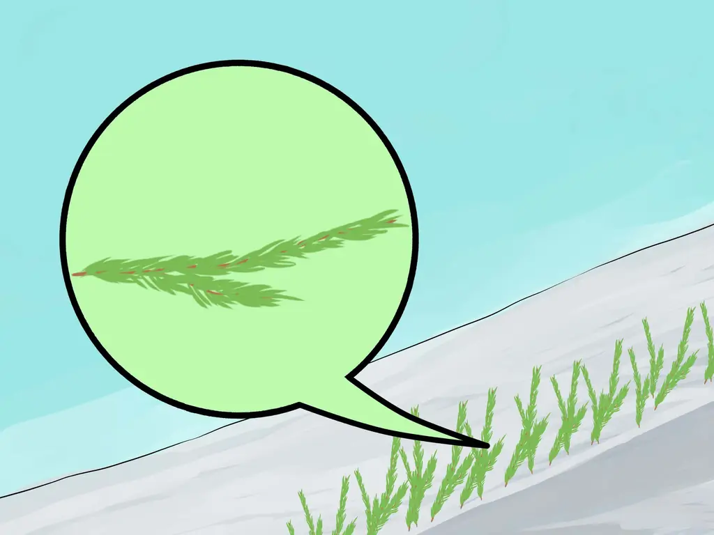 Как построить прыжок на сноуборде: 10 шагов (с изображениями)