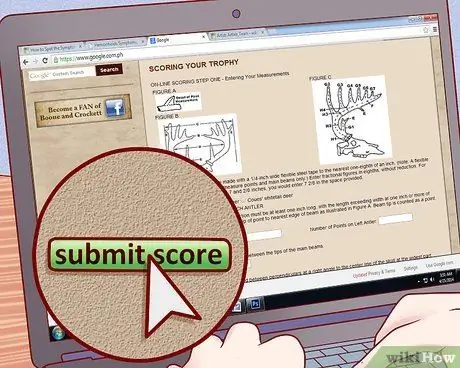 Оценка рогов оленя Шаг 18