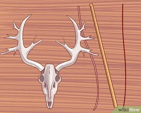 Оценка рогов оленя Шаг 5