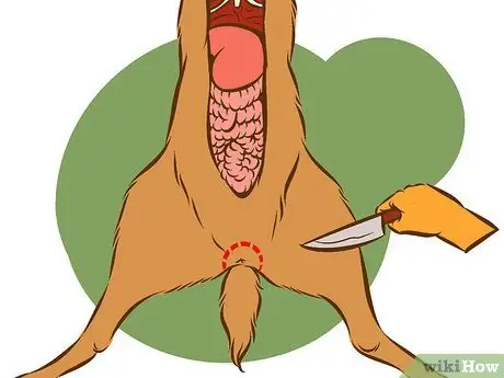 Очистить оленя Шаг 7