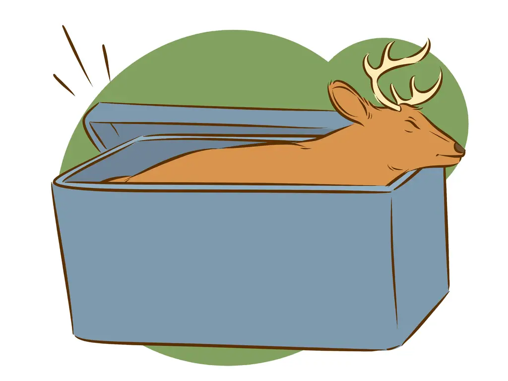 4 способа почистить оленя