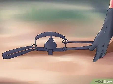 Поймать бобров Шаг 10