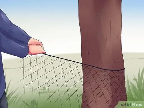 Поймать бобров Шаг 14