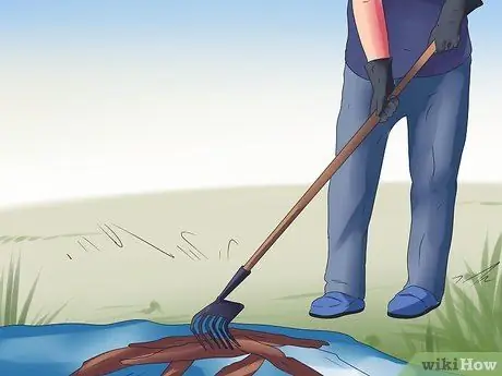 Поймать бобров Шаг 15