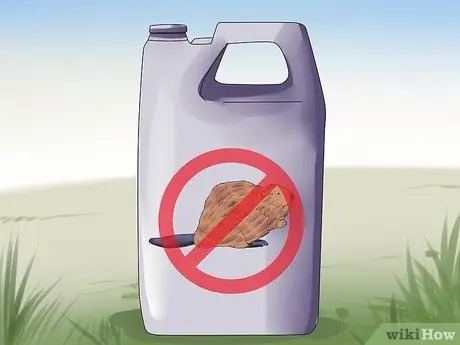 Поймать бобров Шаг 16