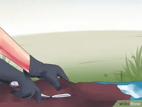 Поймать бобров Шаг 17