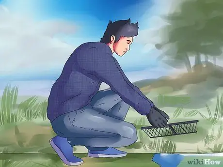 Поймать бобров Шаг 5