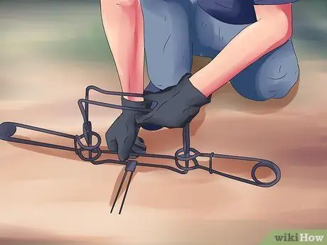 Поймать бобров Шаг 8