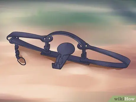 Поймать бобров Шаг 9