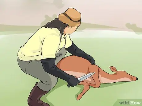 Охота с луком, шаг 12