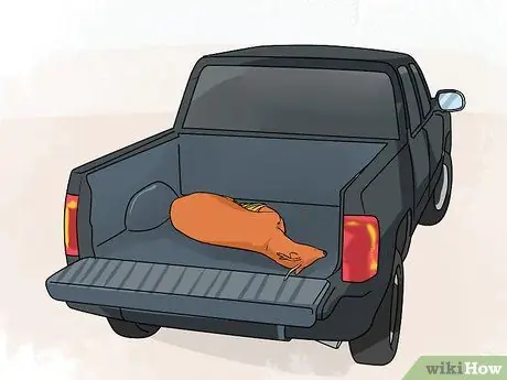 Охота с луком, шаг 14