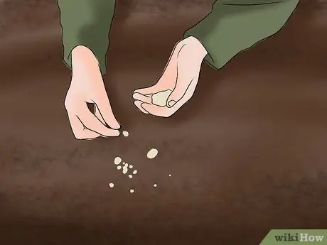 Охота на черных дроздов, шаг 1