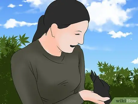 Охота на черных дроздов, шаг 5