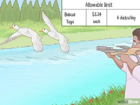 Получение охотничьей лицензии Шаг 12