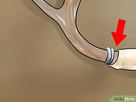 Оценка рога оленя, шаг 15