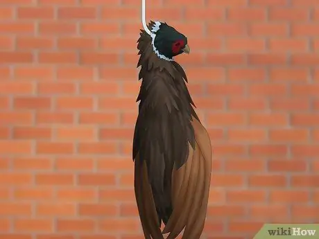 Сорвать фазана Шаг 10