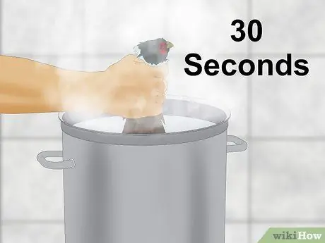 Сорвать фазана Шаг 13