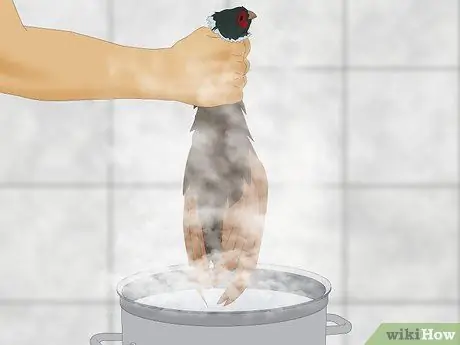 Сорвать фазана Шаг 14