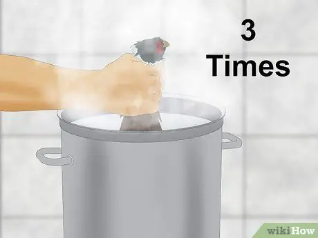 Сорвать фазана Шаг 15