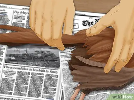 Сорвать фазана Шаг 4