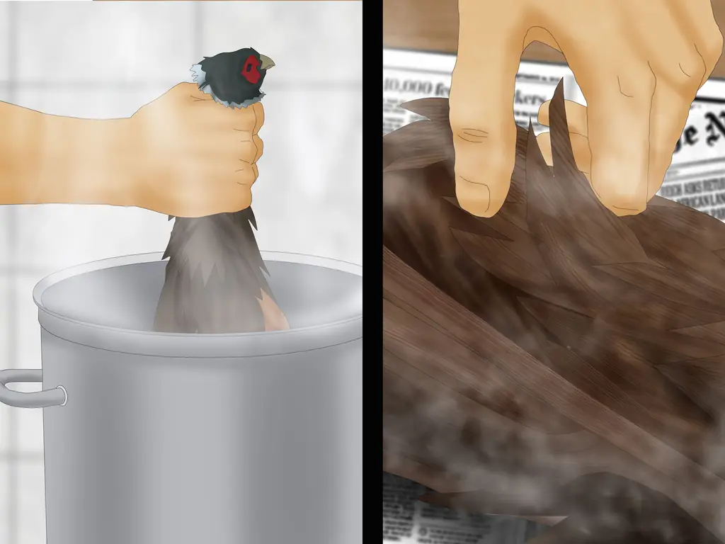 Как сорвать фазана (с иллюстрациями)