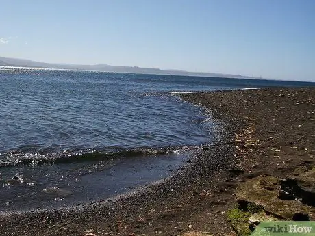 Выжить в лесу без охоты Шаг 9