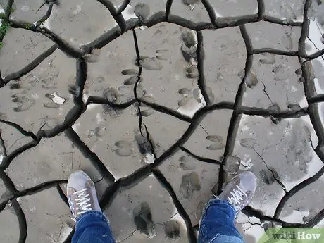 Выжить в лесу без охоты Шаг 2