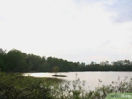 Выжить в лесу без охоты Шаг 3