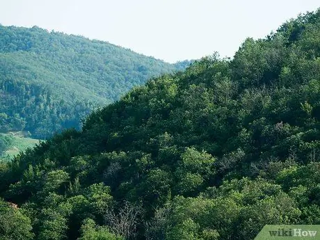 Выжить в лесу без охоты Шаг 5