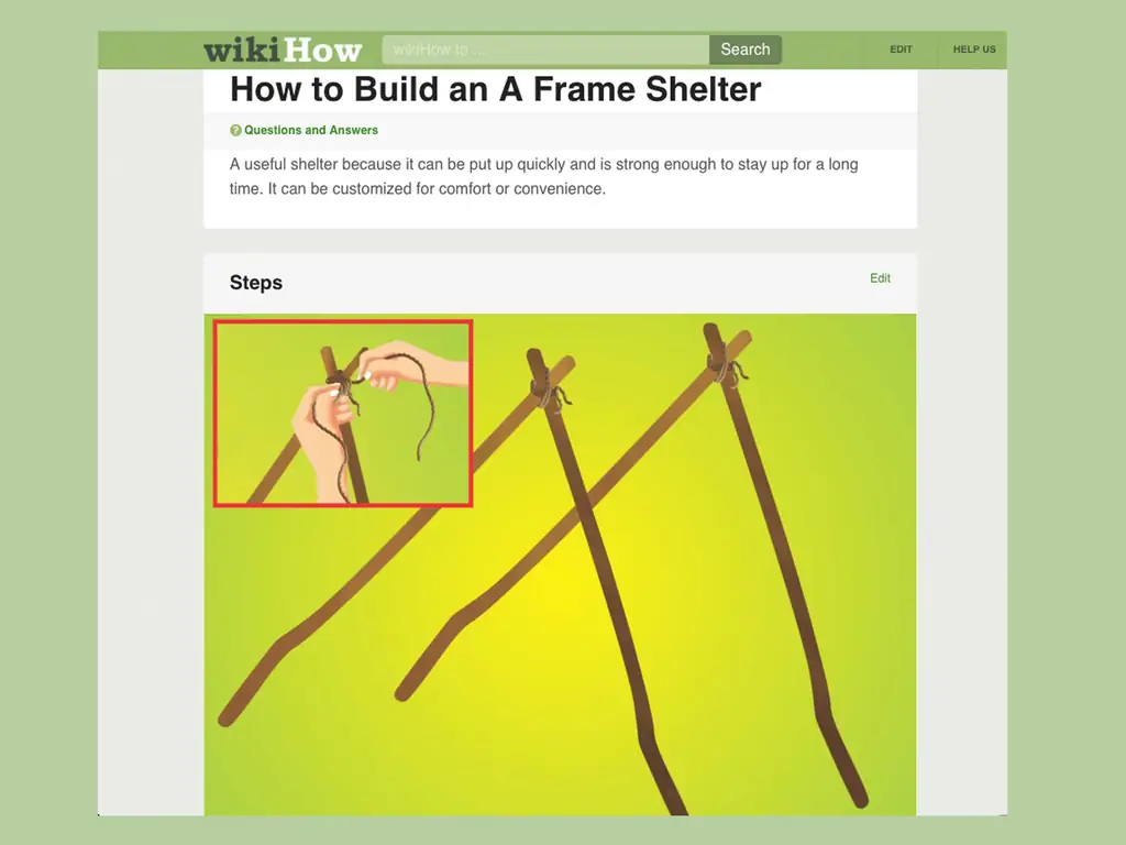 Как выжить в лесу без охоты: 11 шагов