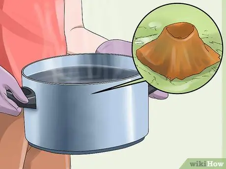 Устраните опасность для здоровья на заднем дворе Шаг 11