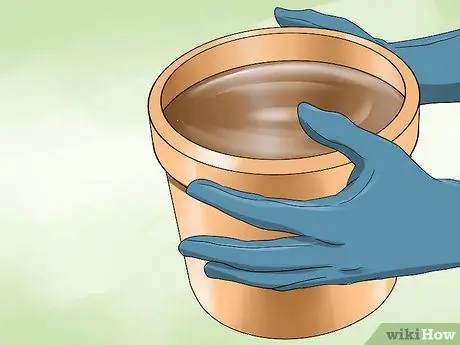 Устраните опасность для здоровья на заднем дворе Шаг 12