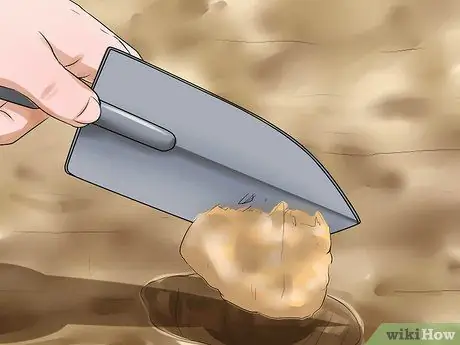 Избавьтесь от опасностей для здоровья на заднем дворе, шаг 3