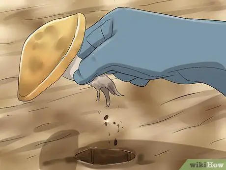 Устраните опасность для здоровья на заднем дворе Шаг 6