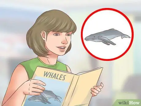 Понаблюдайте за китами зимой, шаг 1