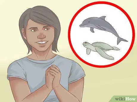 Понаблюдайте за китами зимой Шаг 9