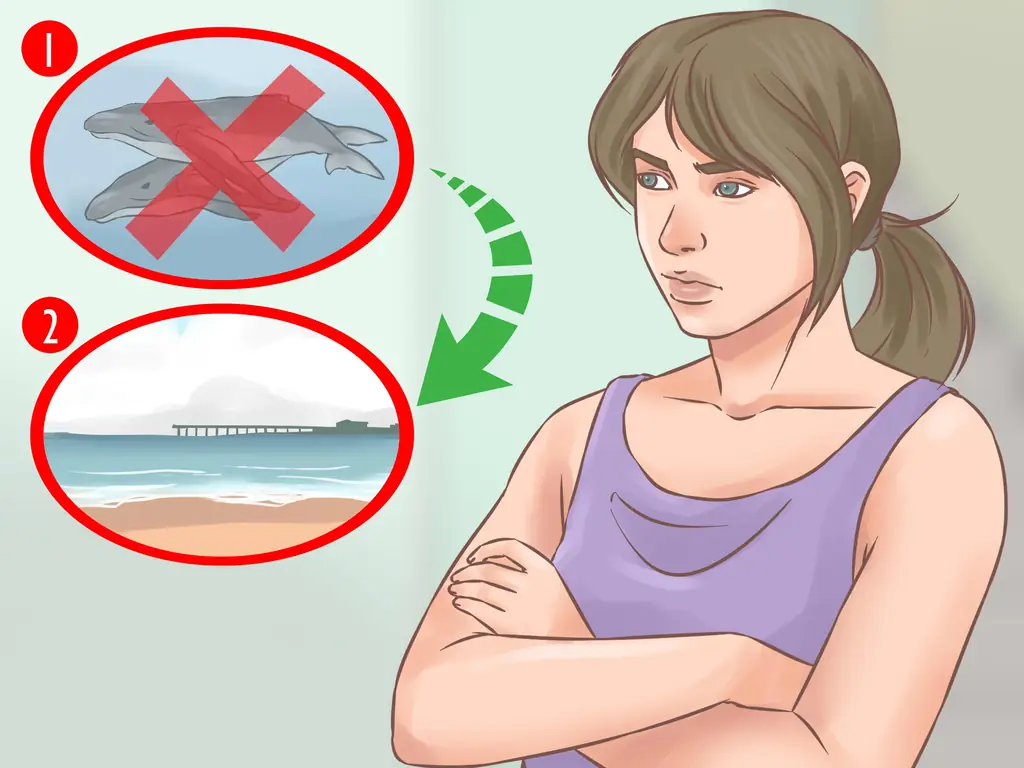 Как пойти понаблюдать за китами зимой: 11 шагов (с иллюстрациями)