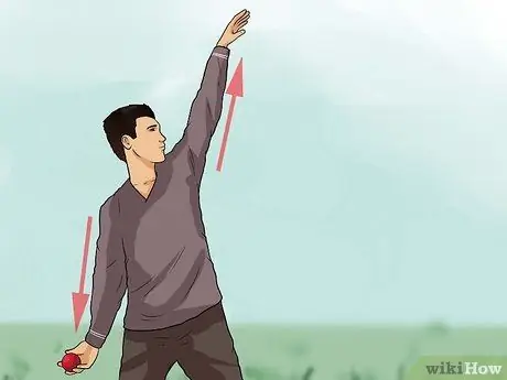 Чаша в крикете Шаг 9