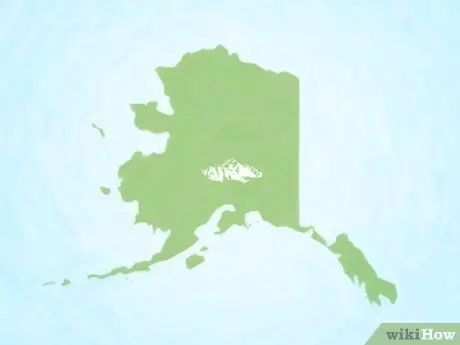 Нарисуйте карту США. Шаг 3