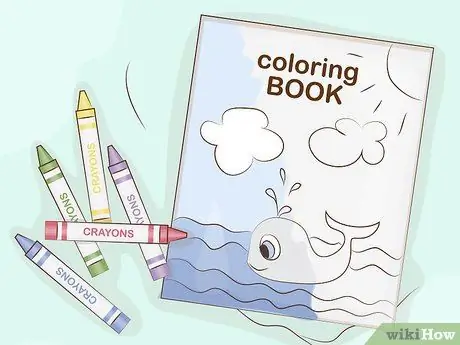 Пакет для поездки для наблюдения за китами Шаг 14