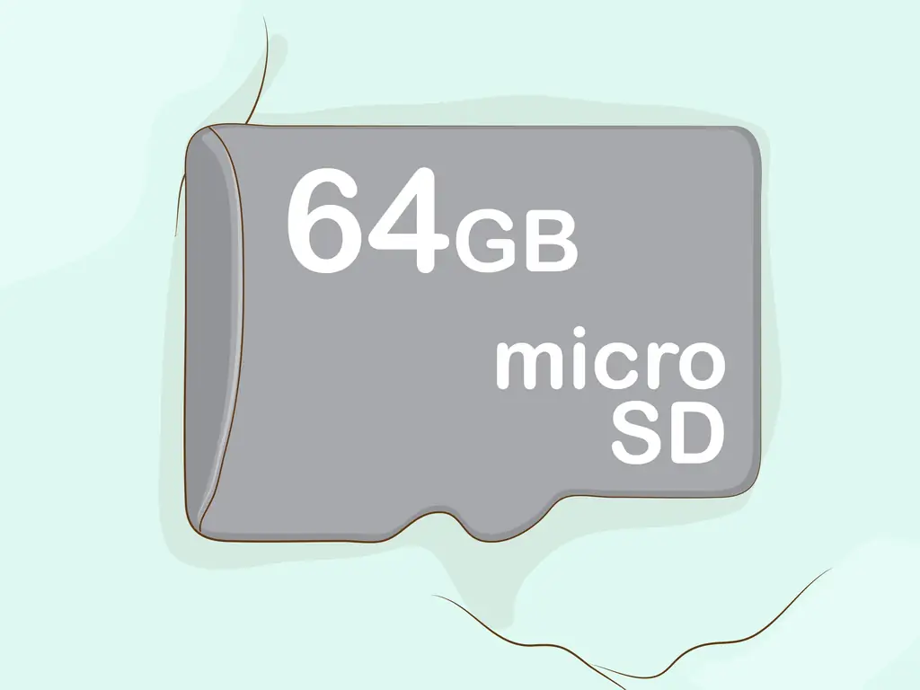 Как собрать вещи для поездки по наблюдению за китами (с изображениями)