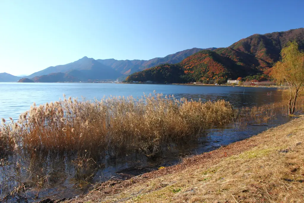 Как упаковать чемодан на 7-дневный отпуск за границей: 9 шагов