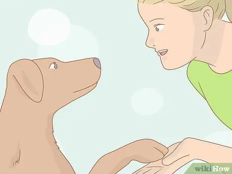 Раздайте благотворительность как подросток, шаг 5