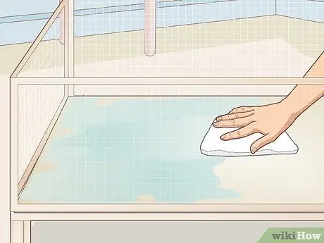 Уход за морской свинкой с ушной инфекцией Шаг 11