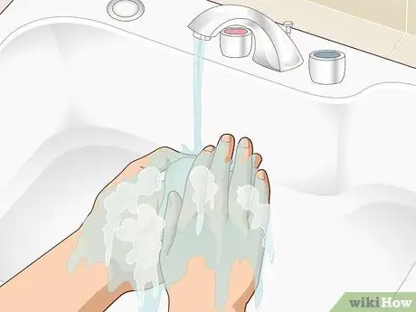 Уход за морской свинкой с ушной инфекцией Шаг 12