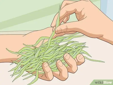 Выберите корм для морских свинок Шаг 18